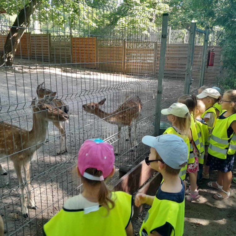 370568927_819902986344043_1222918509499514783_n