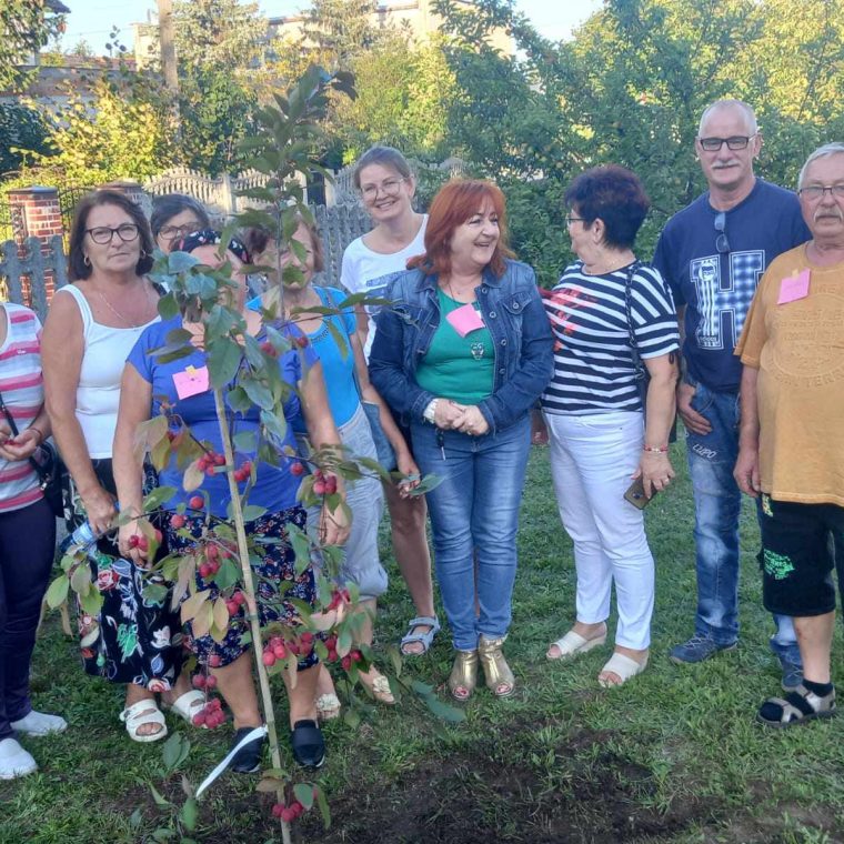 377121227_820063319819684_6725497544097779373_n