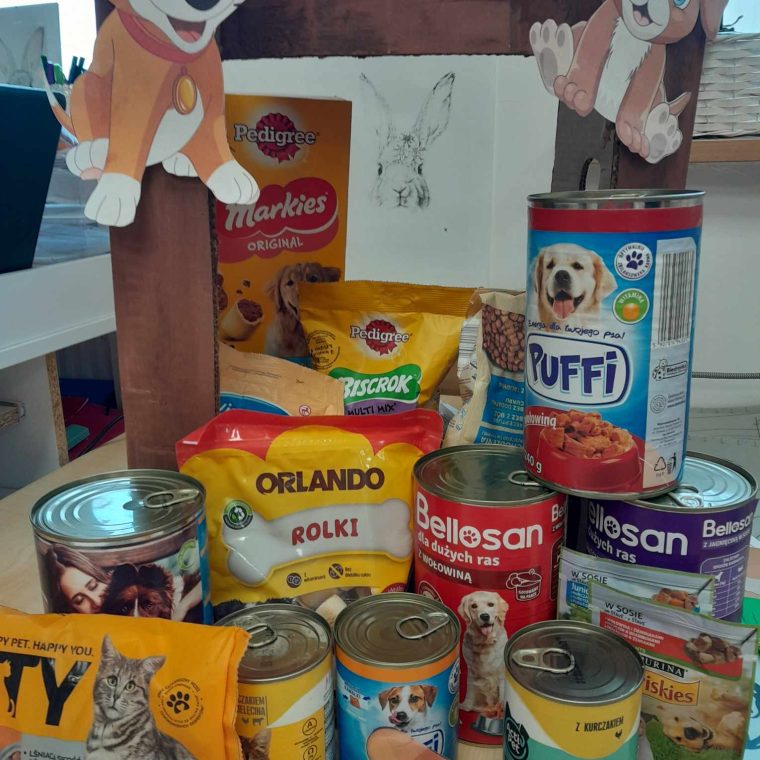 384543152_2261110587427782_3262493450571117292_n