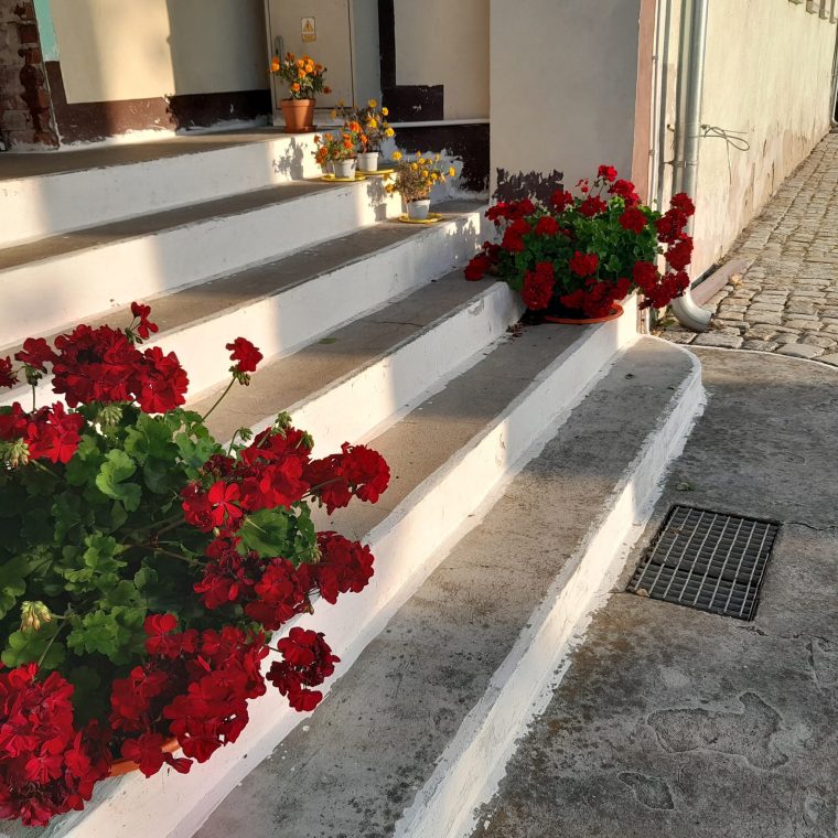 458305591_909653741192223_1542852755598979843_n