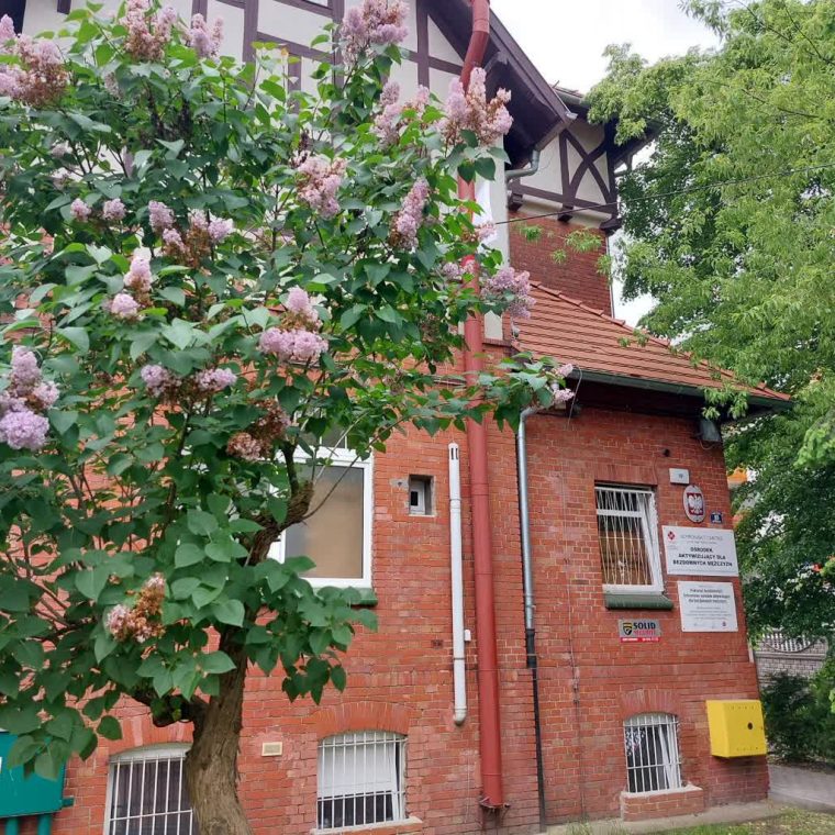 72cd237a37a2036f7631a6c4750ff48a_xl