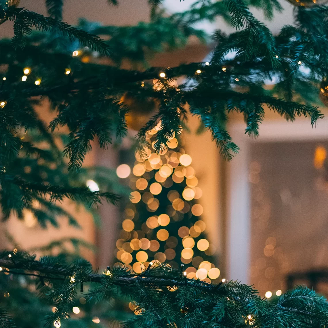 wigilijne dzieło pomocy dzieciom