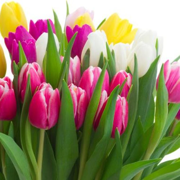 e38eee263fffae1399dba4549e7ada42